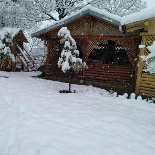 Pensiunea La Stejarel Bucșenești – Bucșenești, România
