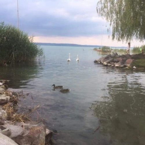 Hársfa Apartman Balatonlelle – Balatonlelle, Ungaria