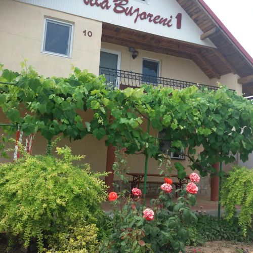 Casa Bujoreni 1 Costinești