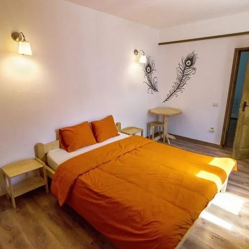 Hostel Activ Parc Negrești