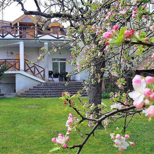 Vila Martha Residence Sibiu