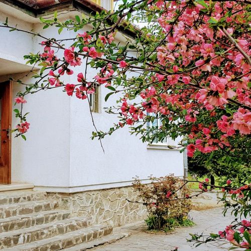 Vila Martha Residence Sibiu – Sibiu, România