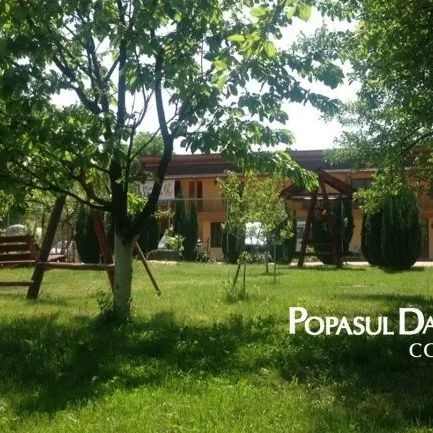 Pensiunea Popasul Dacilor Costești