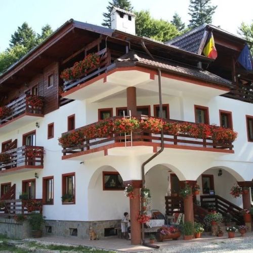 Casa Elena Pârâul Rece