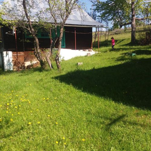 Pensiunea Mery Albac