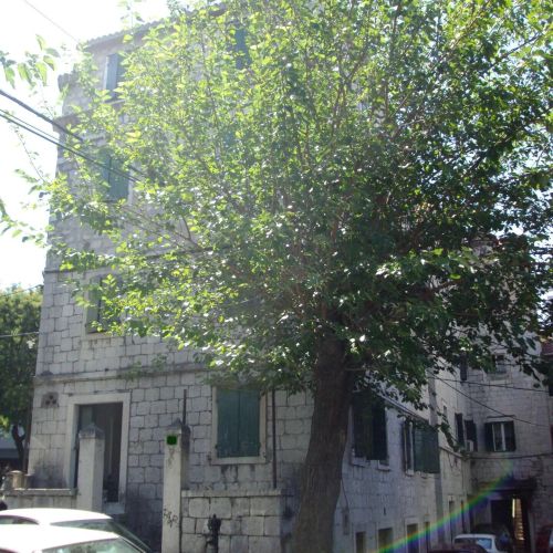 Apartman Happy Jackdaw Split – Split, Croația