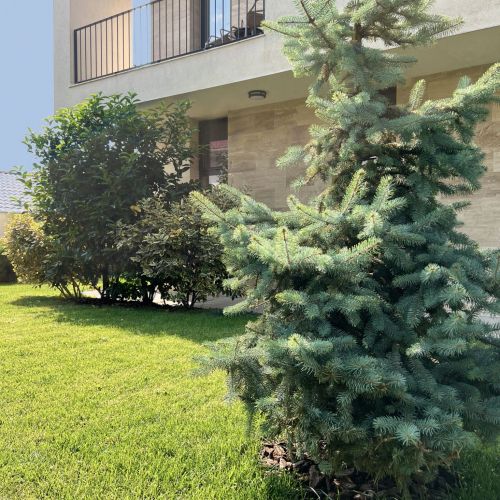 Vila Ducu Mamaia Nord - Teens & Adults Only +14 – Mamaia-Sat, România
