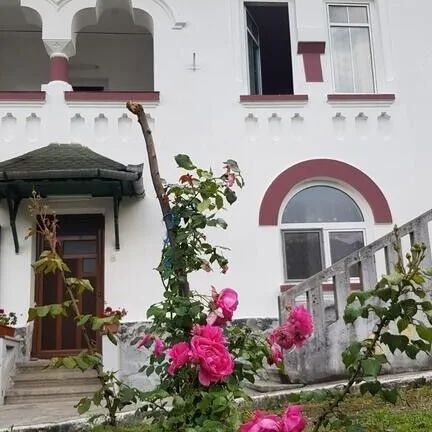 Pensiunea Ana Lăcrămioara Călimănești