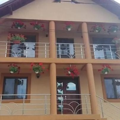 Casa Simona Poienile Izei