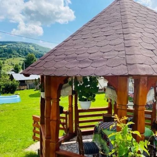 Pensiunea Anuca Poienile Izei