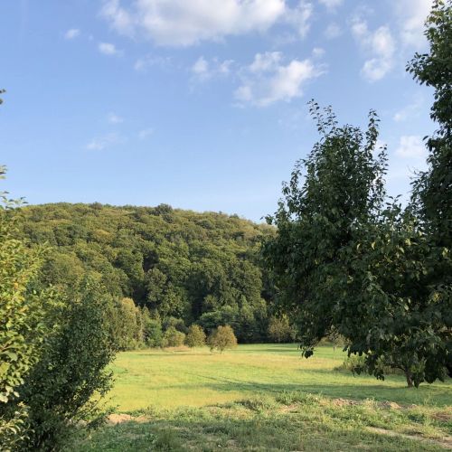 Heted 7 Panzió Szuha – Szuha, Maďarsko