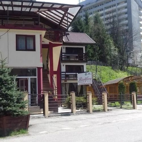 Pensiunea Passiflora Voineasa