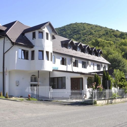 Pensiunea Vasy XL Băile Herculane