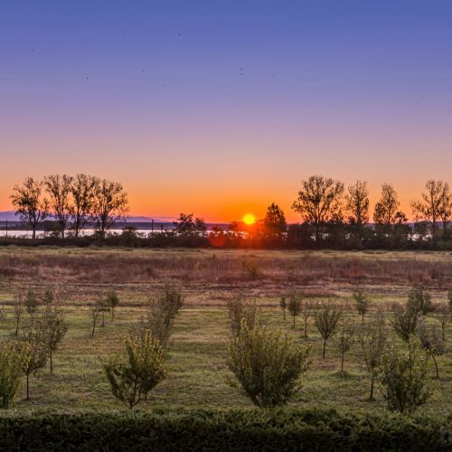 Hotel Stejarii Resort Ineu – Ineu, România