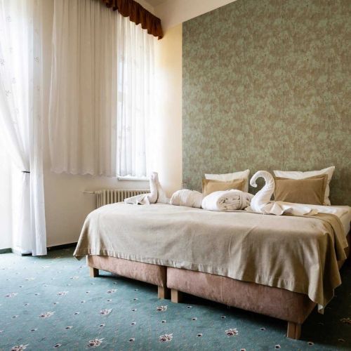 MONTI SPA HOTEL Františkovy Lázně – Františkovy Lázně, Republica Cehă