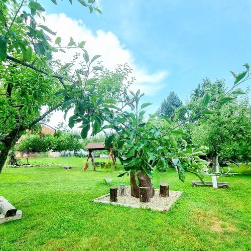 Pensiunea Agroturistica Casa Dintre Pini Agapia