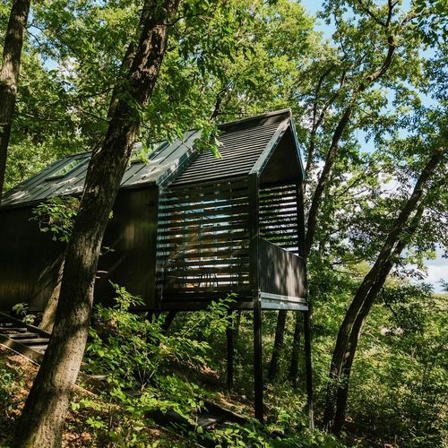 Fekete Rigó Noszvaj