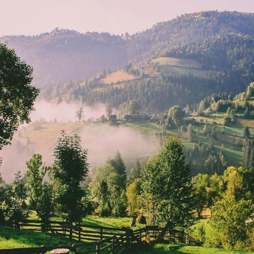 Pensiunea Alexolar Mătișești