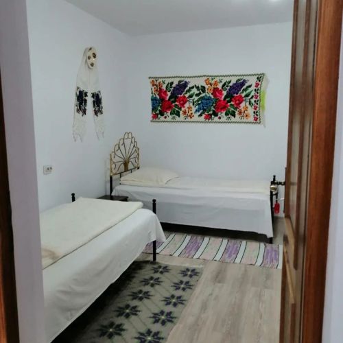Căsuță lui Buni Moisei – Moisei, România
