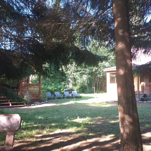 Casa de vacanță Pin Borzont – Borzont, România