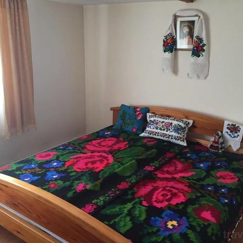 Cabana Coasta cu Izvoare Borșa
