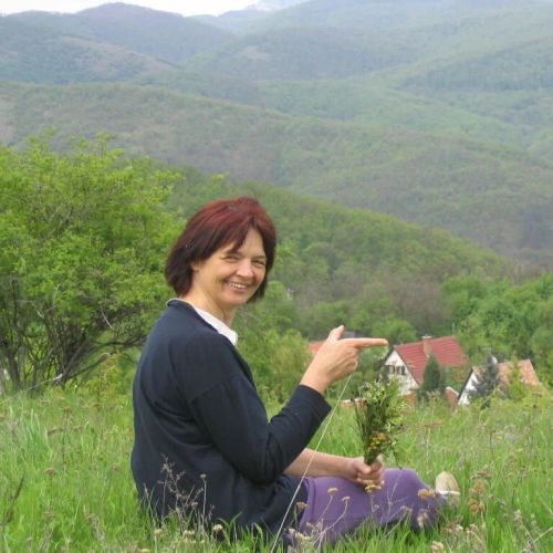 Szérűskert Vendégház Szarvaskő – Szarvaskő, Ungaria