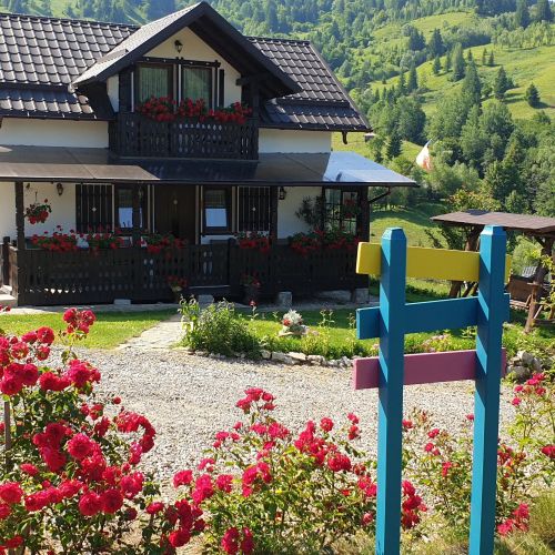 Casuta Izvorul Raraului (Duplex) Câmpulung Moldovenesc – Câmpulung Moldovenesc, România