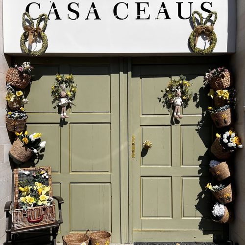Casa Ceauș Baia Sprie