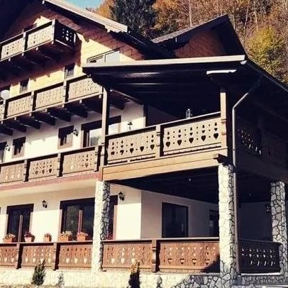 Pensiunea Drumul Iancului Vidra