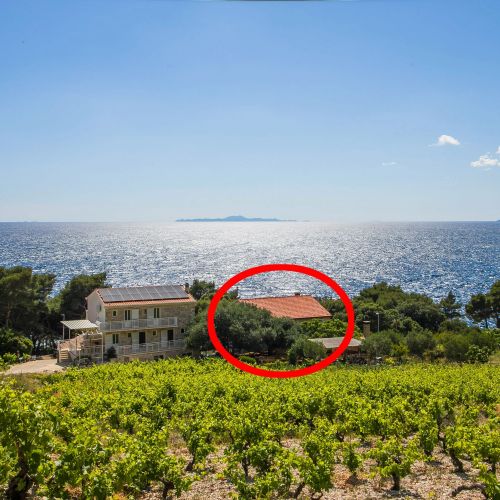 Családi Apartmanok A Tenger Mellett Dingac - Borak, Peljesac - 18065 Dingač - Borak