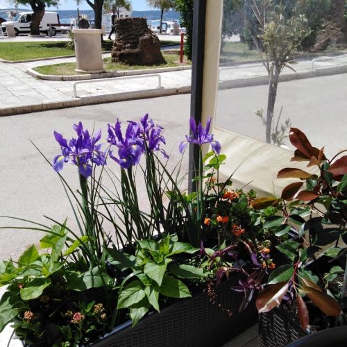 Apartments By The Sea Kaštel Kambelovac, Kaštela - 18267 Kaštel Kambelovac – Kaštel Kambelovac, Chorwacja