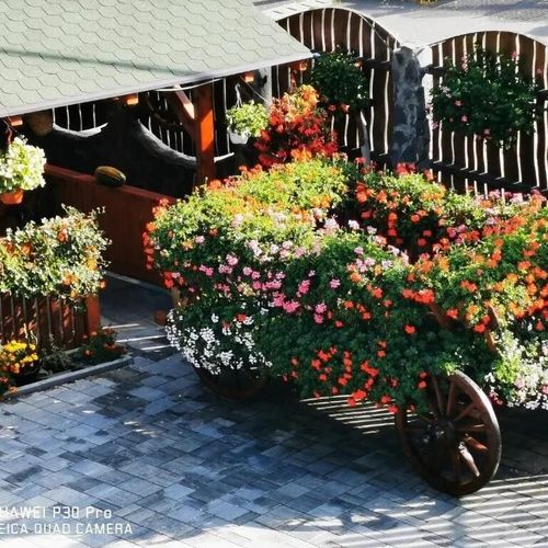 Casa de vacanță Sepsi Relax Sfântu Gheorghe