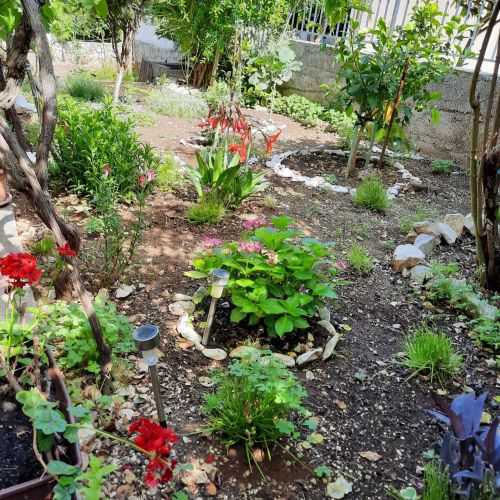 Apartman Ema Okrug Gornji – Okrug Gornji, Croația