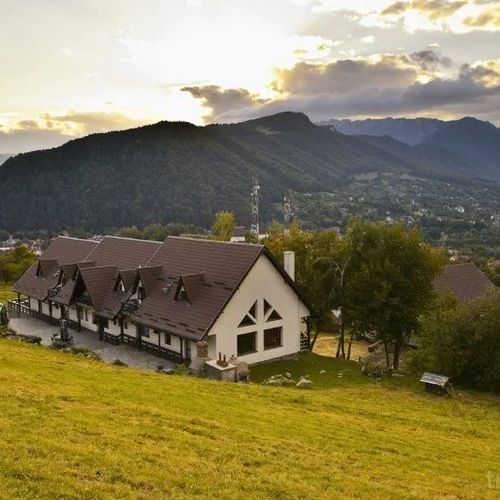 Contele Vladimir Bran