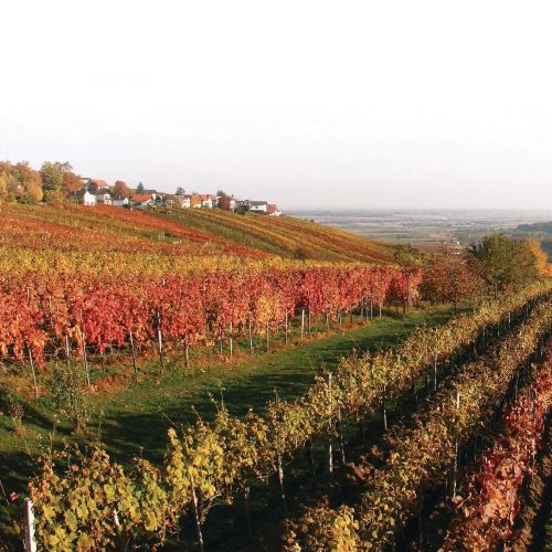 Vendégház Winten - ABU111 – Winten, Austria