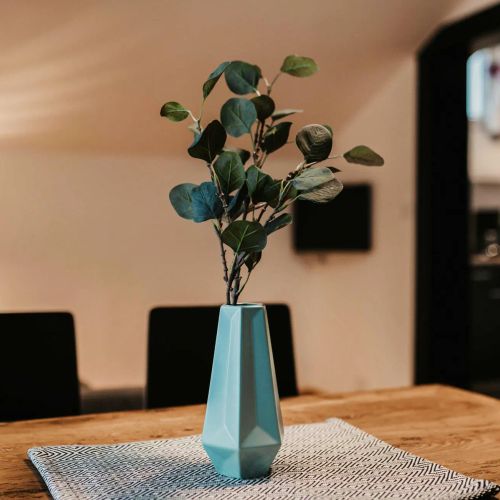 Apartman Wagrain - ASA143