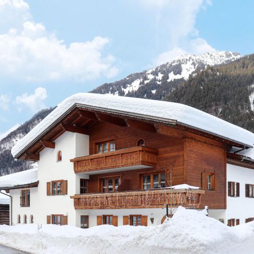 Apartman Sankt Gallenkirch - AVO148 – Sankt Gallenkirch, Austria