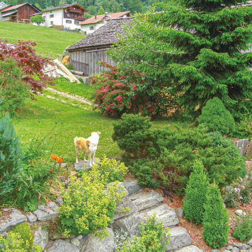 Apartman Sankt Gallenkirch - AVO065 – Sankt Gallenkirch, Austria