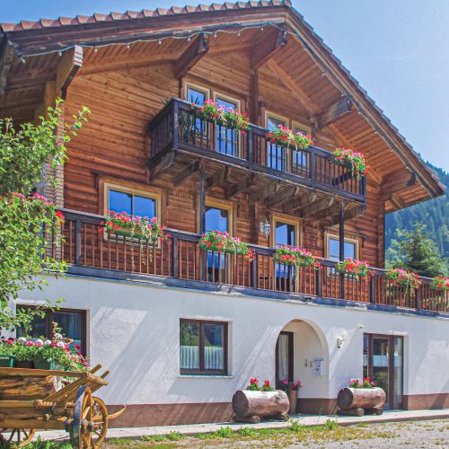 Apartman Sankt Gallenkirch - AVO065