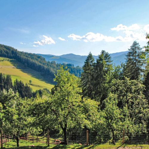 Vendégház Bad Sankt Leonhard im Lavanttal - AKA076 – Bad Sankt Leonhard im Lavanttal, Austria