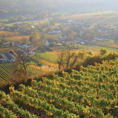 Vendégház Gaas - ABU133 – Gaas, Austria