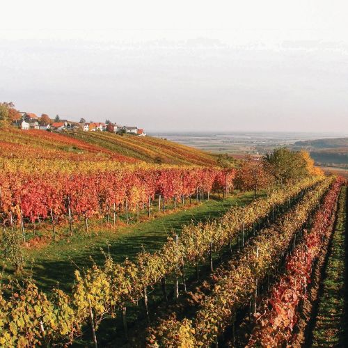 Vendégház Deutsch Schützen-Eisenberg - ABU107 – Deutsch Schützen-Eisenberg, Austria