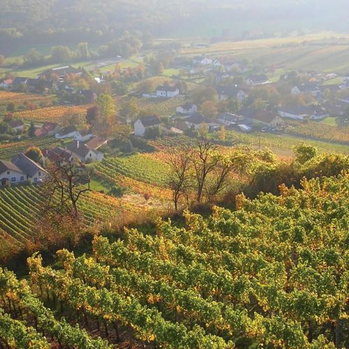Vendégház Deutsch Schützen-Eisenberg - ABU107 – Deutsch Schützen-Eisenberg, Austria