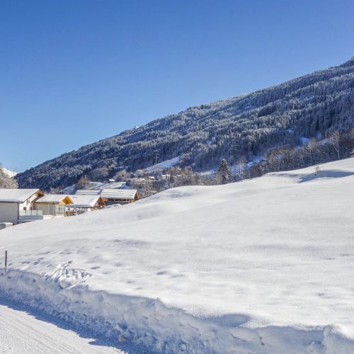 Apartman Dalaas - AVO138 – Dalaas, Austria