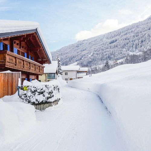 Apartman Dalaas - AVO138 – Dalaas, Austria