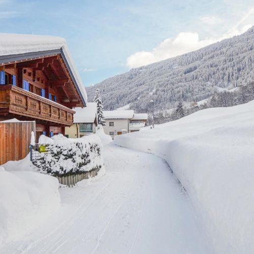 Apartman Dalaas - AVO137 – Dalaas, Austria