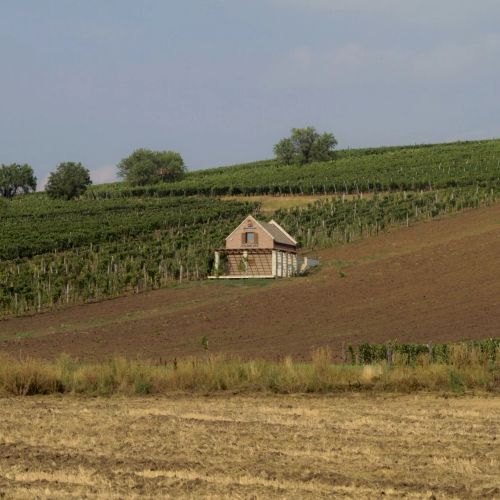Nyúlászó Vendégház és Galéria Mád – Mád, Ungaria