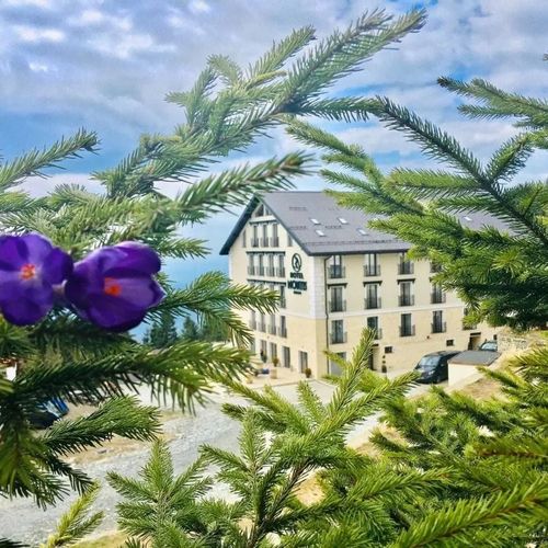 Montis Hotel&Spa Turnu Ruieni