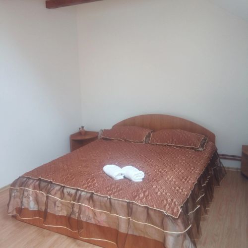 Casa de vacanță Violeta Socolari