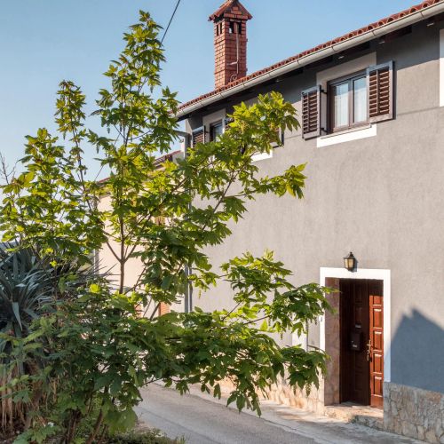 Apartman Ližnjan - CIZ244